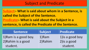 What does the sentence mean. Subject and Predicate. The Type of the subject and the Predicate. Subject in English Grammar. Types of subject in English.