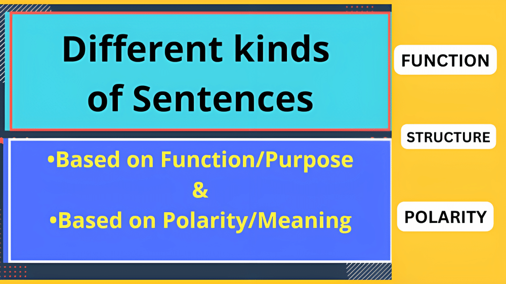 The Ultimate Guide To Different Kinds Of Sentences In English Grammar ...